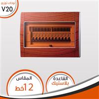 لوحة V20 عدد 12 خط